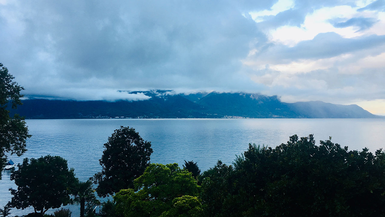 Dark green tree canopy in front of a large lake with low lying dark clouds above